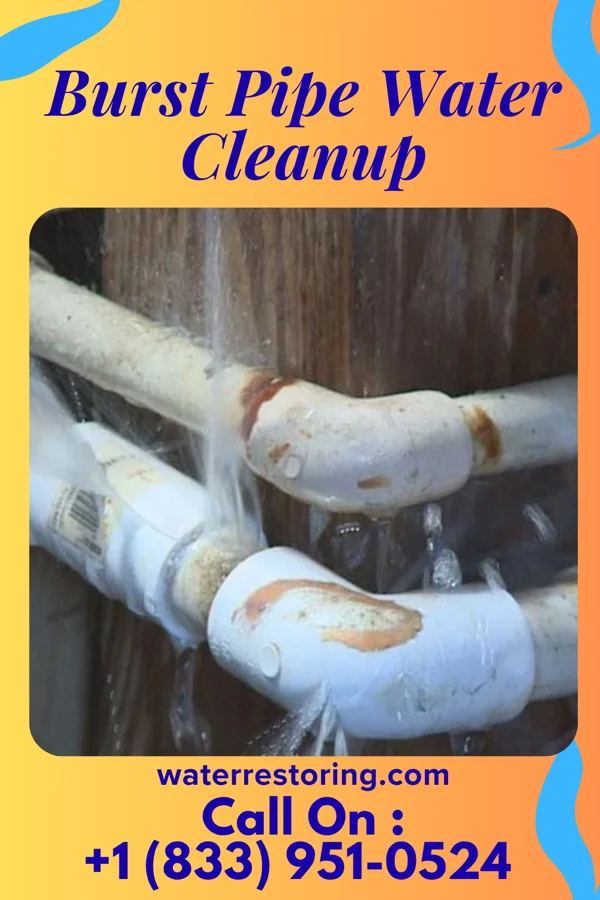 Burst Pipe Water Cleanup in Kennewick, WA