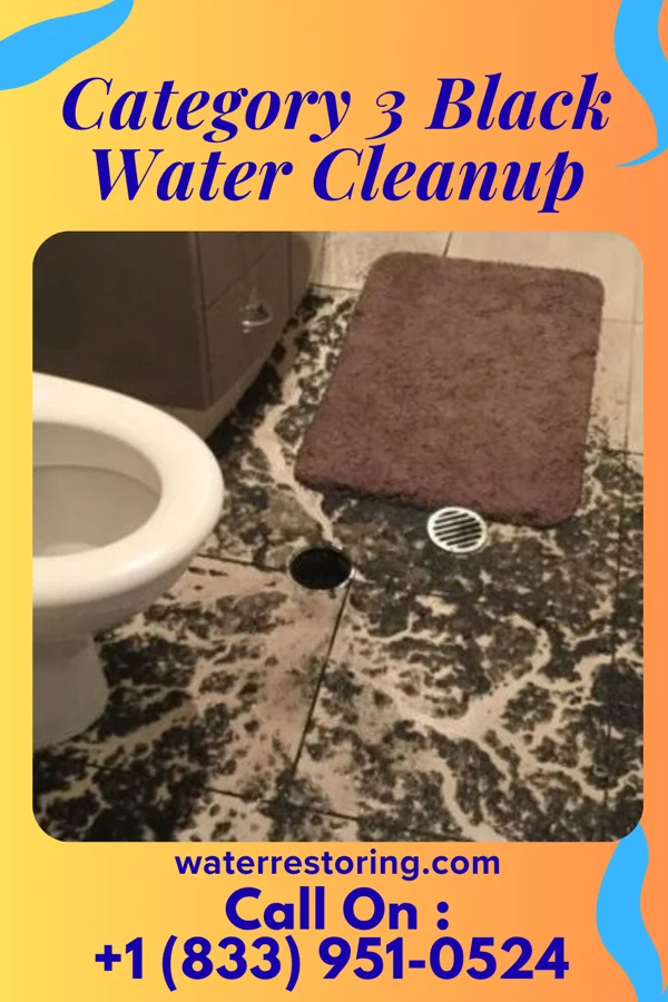 Category 3 Black Water Cleanup in Kennewick, WA