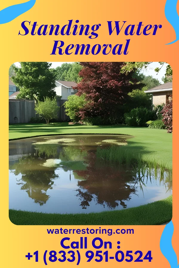 Standing Water Removal in Kennewick, WA